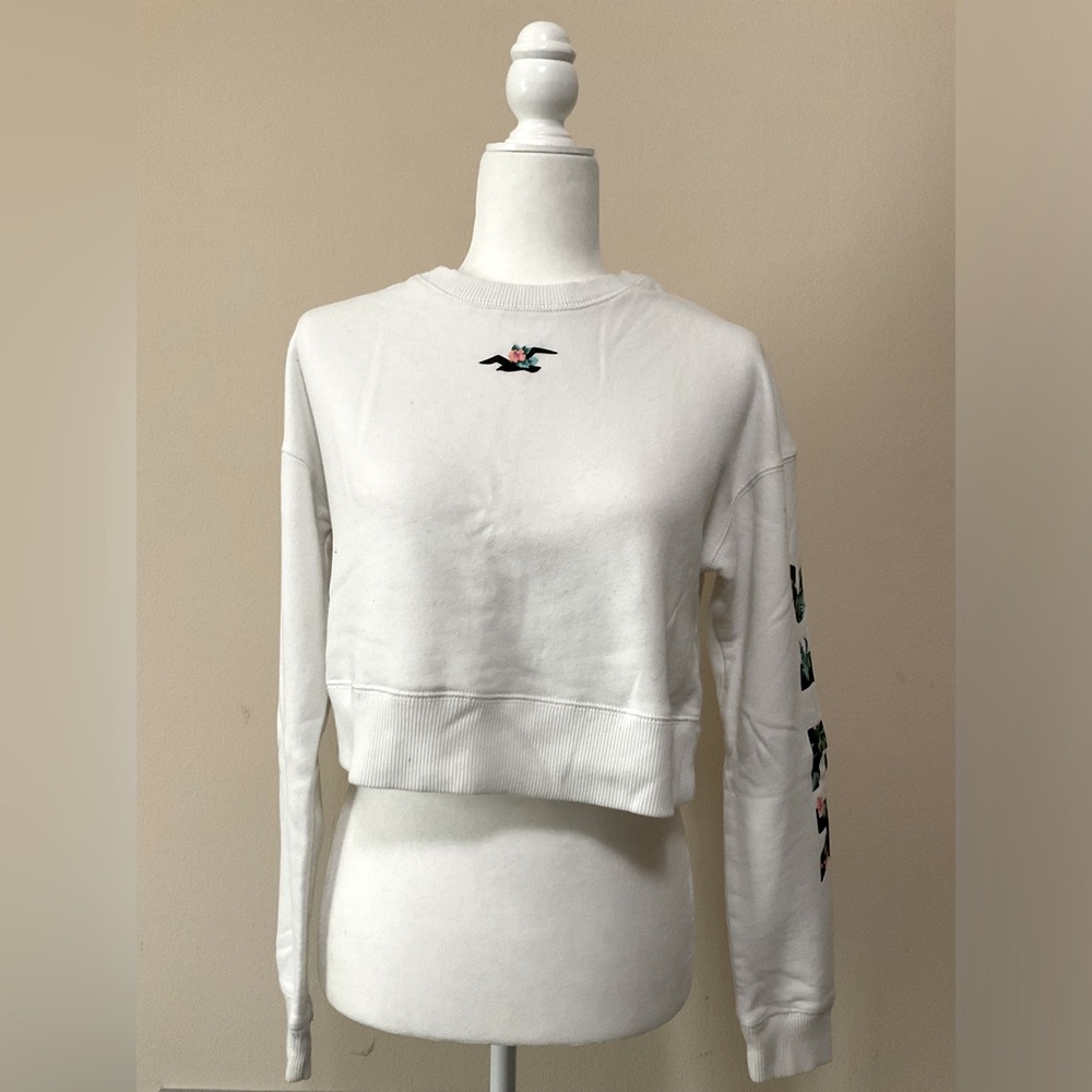 Hollister Sweatshirts